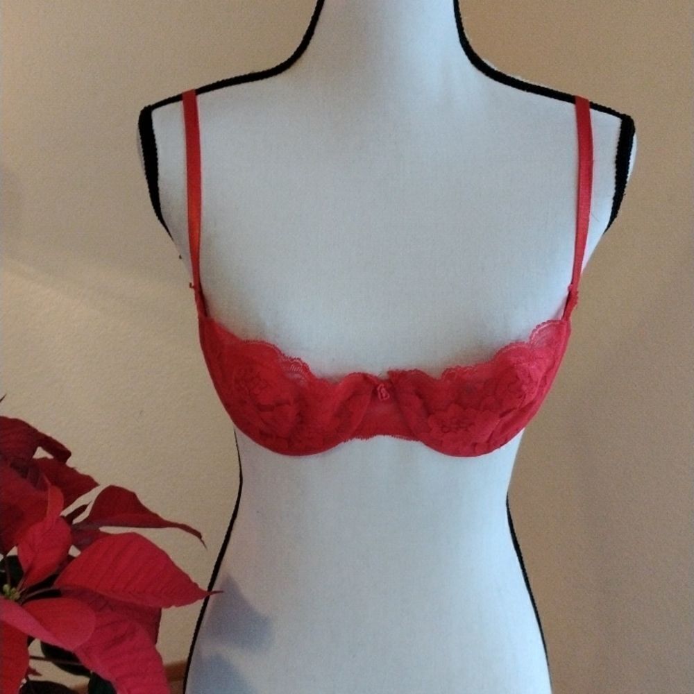 Red Lace Bra 